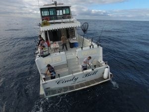Cindy Cindy Bett - Deep Sea Fishing Charter SydneyBett - Deep Sea Fishing Charter Sydney