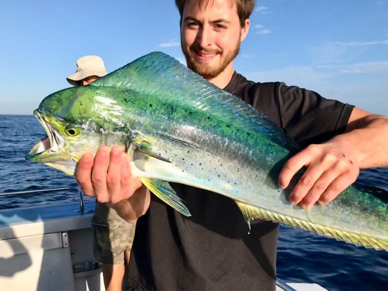 Mahi Mahi Season Summer Sydney Premium Charters FADS Sydney Premium