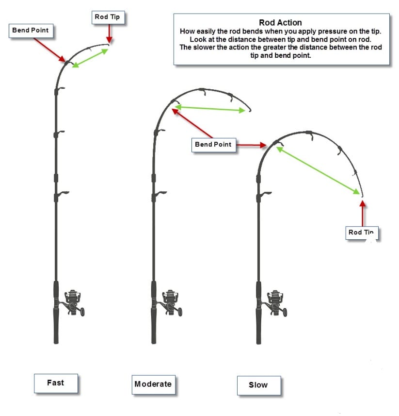 Fishing and Tackle Terminolgy Australia Common Fishing Terms