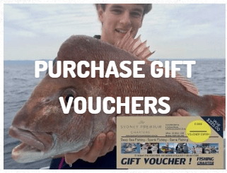 Christmas fishing voucher Cronulla Sydney