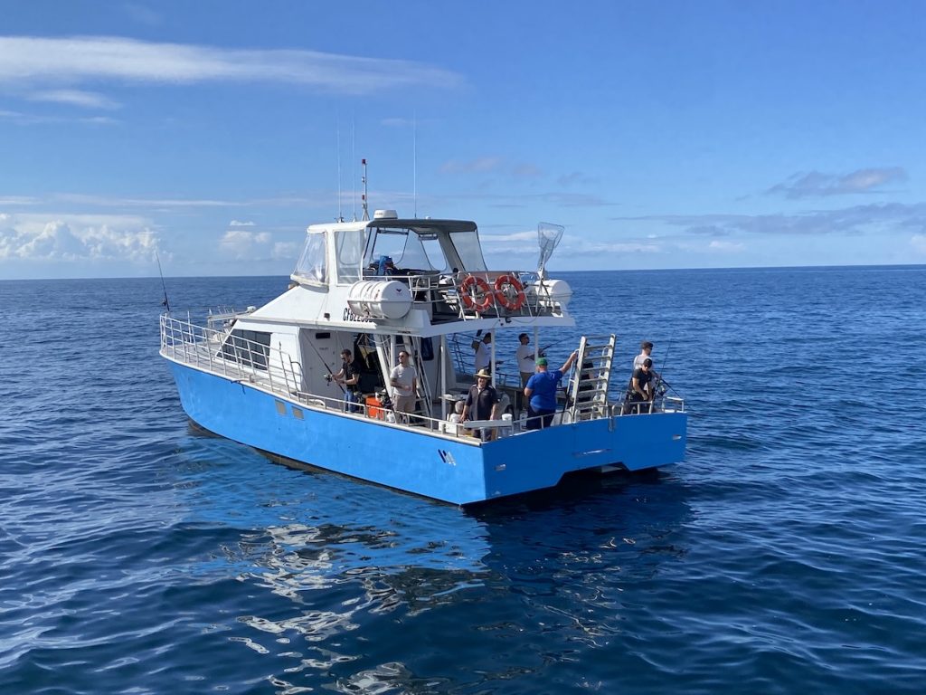 Blue Cat Deep Sea Fishing Cronulla