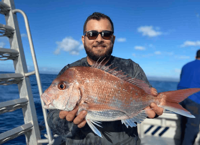 All at Sea Charters - Deep Sea Fishing Cronulla snapper